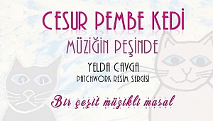 Cesur Pembe Kedi Bilkent'te