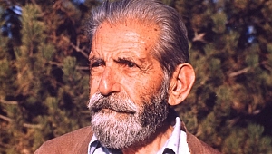 Oğuz Tansel’i Anarken Halkbilim ve Evrensel Kültür