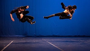 Yeni Bir Modern Dans, ‘’Dans Ana-Log’’