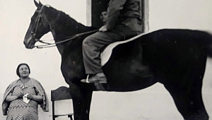 KAFDAĞININ ARDINDAN BİR BEY OĞLU / 46