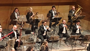 Bravo Prof. Fasold, Akustik Hârika