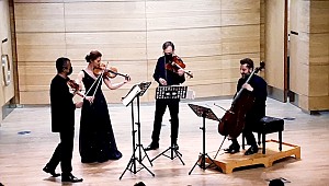 Açıklamalı Konserler