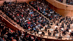 Devlet Senfoni Orkestraları ve Genel Durum