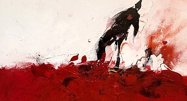 Memleketi Kırmızıya Boyayan Adam