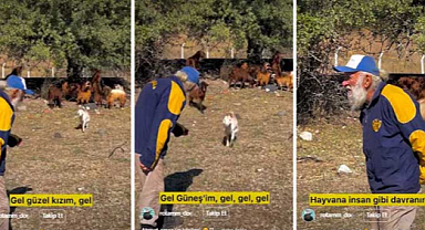 Sosyal Paylaşımlarda Artıları-Eksileniyle İnsanî Değerler-1