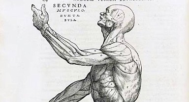 Tıp ve Resim Sanatı…