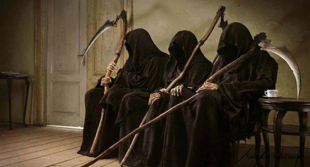 Sanata Kurulan TÜSAK