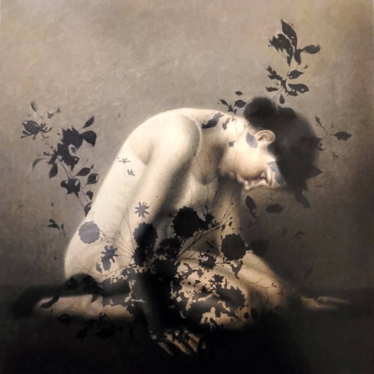 Timora Sanat Galerisi 2026 Sergilerinden