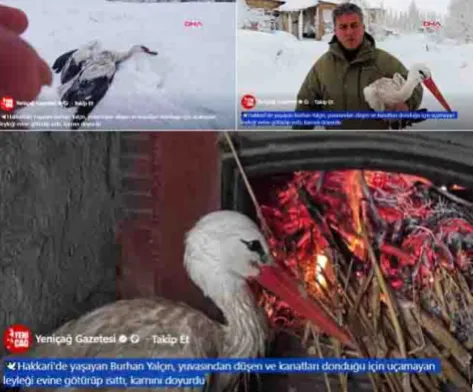 Sosyal Paylaşımlarda Artıları-Eksileriyle İnsani Değerler-2