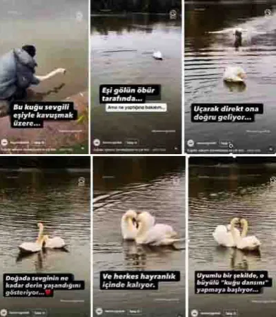 Sosyal Paylaşımlarda Artıları-Eksileriyle İnsani Değerler-2